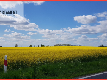 Działka - możliwość podziału! Bory Tucholskie!