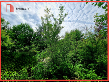 Spokojna okolica, blisko lasu!