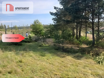 Dla kochających nature, jeziora, słońce. KASZUBY!