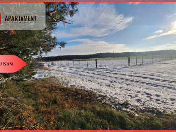 Duży teren w atrakcyjnej lokalizacji