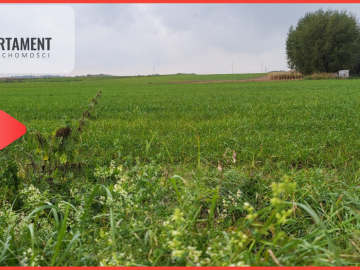 Działki budowlane - Wyrzysk Skarbowy