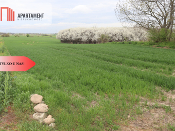 Działka rolna 0,95 ha/Wilków Średzki/Dobry dojazd