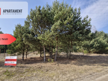 Bory Tucholskie – działka 1195 mkw pod budowę domu