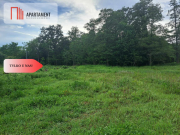 Działka z widokim na las 35 km od Wrocławia!