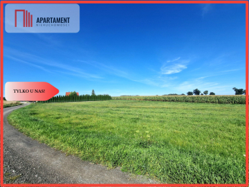 TYLKO U NAS! DUŻA DZIAŁKA Z  WZ! DOM DO 250m2!