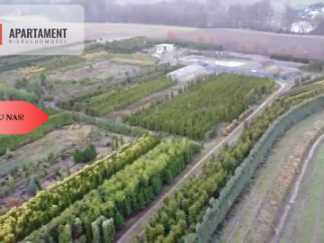 Duża działka 1,73 ha/szkółka drzew iglastych...