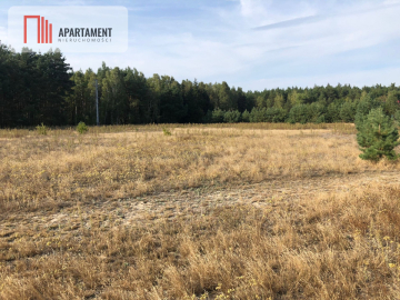 Tylko u nas ! Duża działka ze ściana lasu !