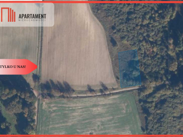 TYLKO U NAS! Duża działka, blisko lasu!