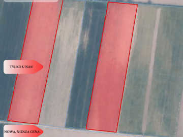 Działki rolne Wielki Wełcz blisko Grudziądz