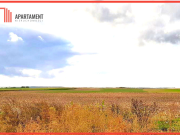 Inwestycja - działka prz trasie