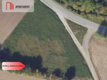 Brzyskorzystew: Działka 2540 m² + WZ