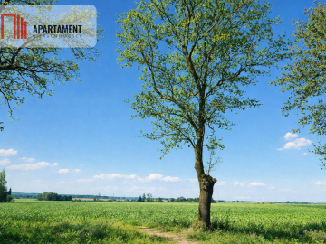 Działki z wydanymi warunkami zabudowy.