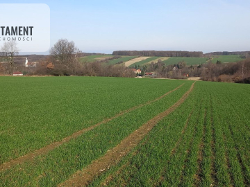 Działka pod inwestycję /Rolna/Cicha okolica