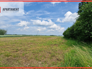 Działki w Wiewiórczynie!