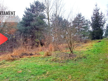 Niewielka działka w okolicy lasu i jeziora