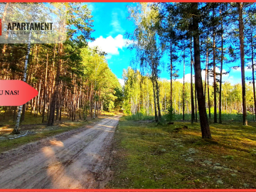 Duża działka rekreacyjna blisko jeziora!!!