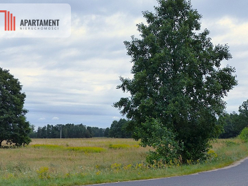 Działki z war. zabudowy pod siedlisko - Małomin