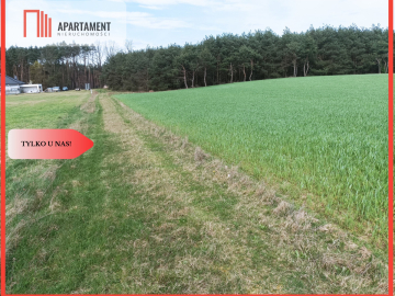 TYLKO U NAS !!! PIĘKNA OTOCZONA BORAMI DZIAŁKA !