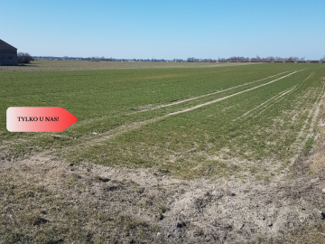 Tylko u Nas! Działka w gm. Dobrcz!