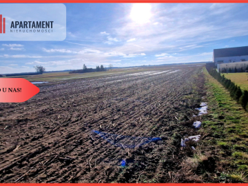 TYLKO U NAS! Ostatnia tak tania działka w Sępólnie