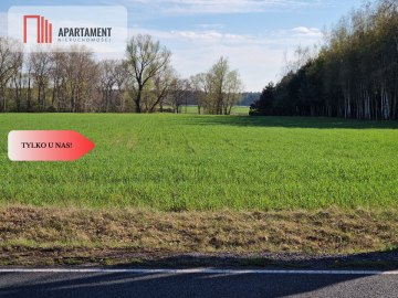 Działki budowlane niedaleko jeziora