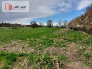 6 tyś m2 w Małych Rudach, raj dla fanów przyrody