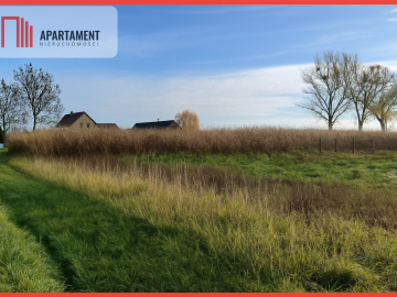 Działki - droga asfaltowa, media!