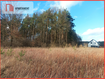 Piękna działka w pobliżu jeziora i lasy