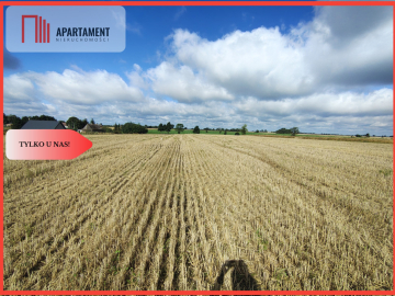 TYLKO U NAS! DZIAŁKA Z WARUNKAMI ZABUDOWY, MEDIA!