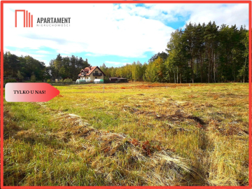 TYLKO U NAS !!! TOPORZYSKO 1000 m2 - LAS ICISZA