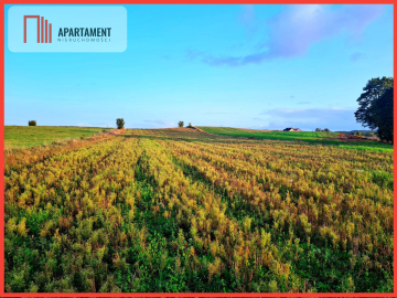 OKAZJA! Działki usługowo-mieszkalne w Skorzewie!!