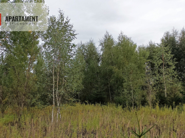 Atrakcyjna cicha i zielona  działka w Grudziądzu!!