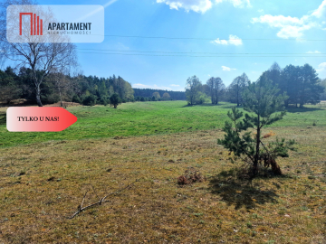 Działka w Szkocji! Głusza! Las! Rzeka!