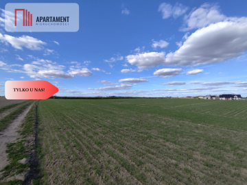 Działki budowlane w Wiśniewie w okolicy Sępólna!