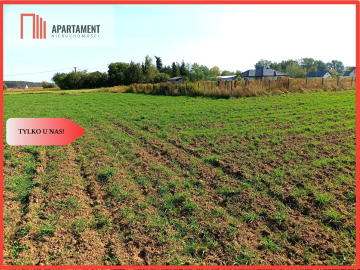 TYLKO U NAS - TOPORZYSKO 1557 CISZA SPOKÓJ