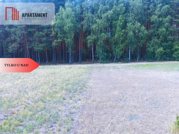 TYLKO U NAS !!! PIĘKNA OTULONA LASEM I C!SZĄ!