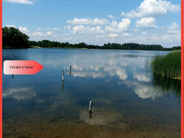 Sprzedaż praw do 2 działek ROD Łobżenica.