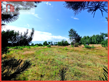 Wymarzone miejsce na  Twój dom w otulinie sosen!