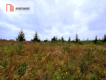 Działki w Kolinczu z dala od ulicy