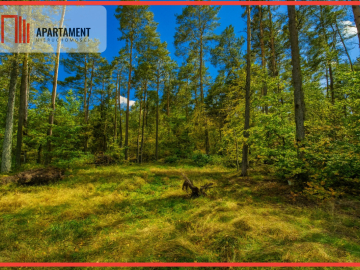 Objęta mpzp, w otoczeniu lasu.