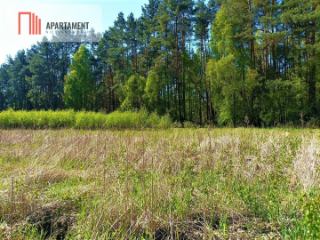 DZIAŁKA NEKLA - SUPER LOKALIZACJA, ŚCIANA LASU