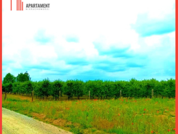 MORZEWIEC 1067 m2 ŚWIETNA LOKALIZACJA