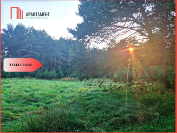 Tylko u nas! Działka rolna z pięknym zadrzewieniem