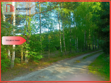 TYLKO U NAS !!! UTULONA CISZĄ W SERCU BORÓW