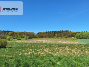 Działka 2500 m2 Czernikowice przy lesie