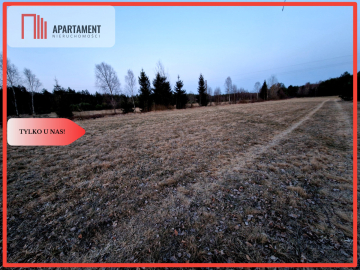Spokojna okolica, blisko lasu!