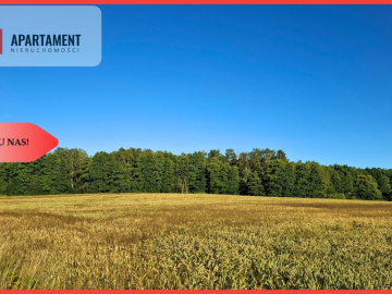 Budowlane 112zł/m2 Nekla niedaleko Jeziora Borówno