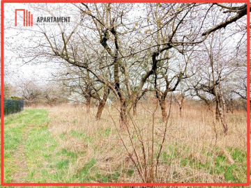 Malownicza działka wsród drzew!!!