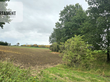 Działka w zielonej okolicy – 3000 m²