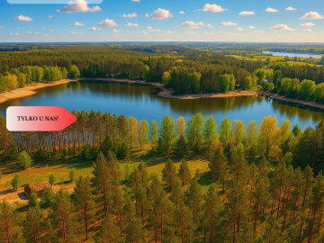 Działki z linią brzegową jeziora pod Toruniem